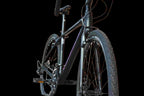 LocalID_58 