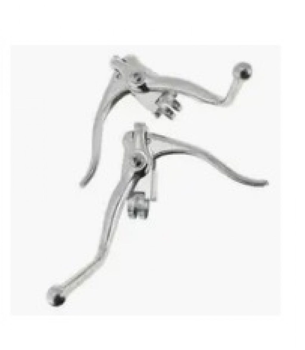 LocalID_2564 
